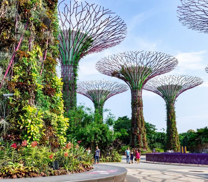 Explore Singapore tours
